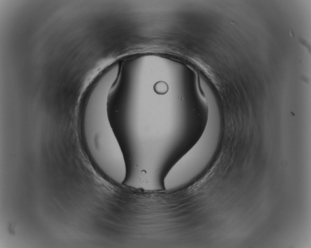 X0000090951414200708301129