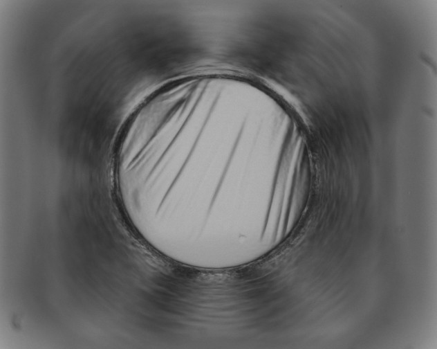X0000090951415200708301129