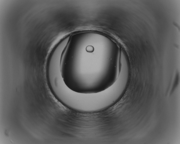 X0000090951416200708301129