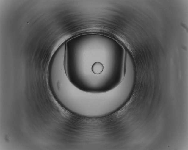 X0000090951418200708301129