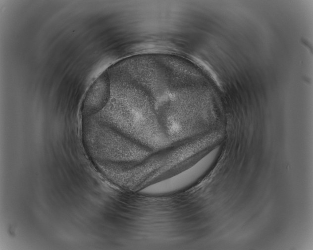 X0000090951419200708301129