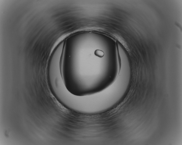 X0000090951420200708301129