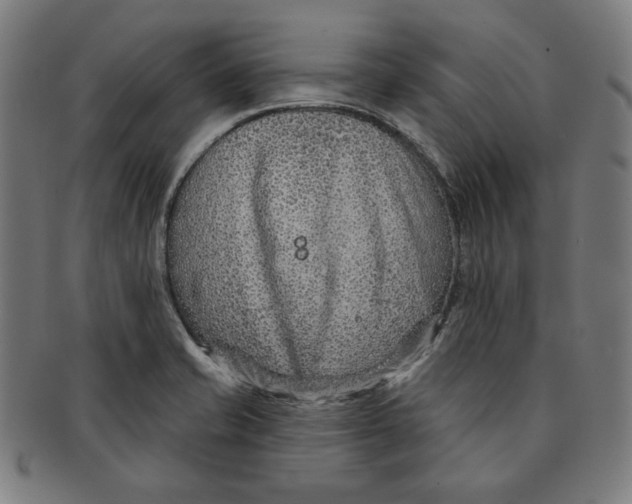 X0000090951421200708301129