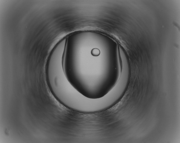 X0000090951422200708301129