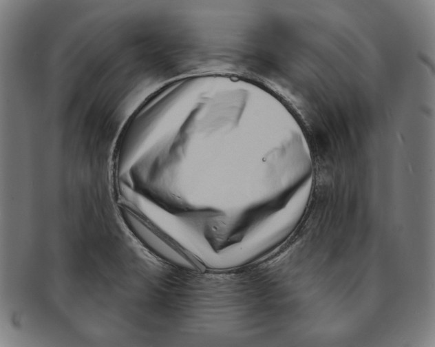 X0000090951423200708301129
