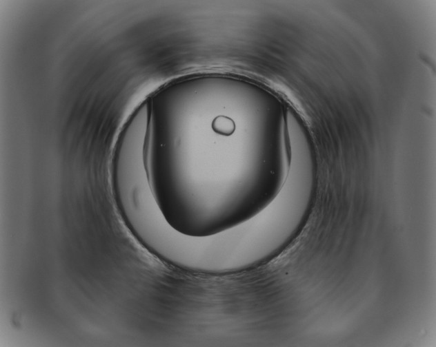 X0000090951424200708301129