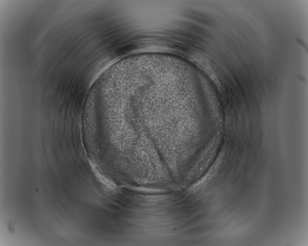 X0000090951425200708301129