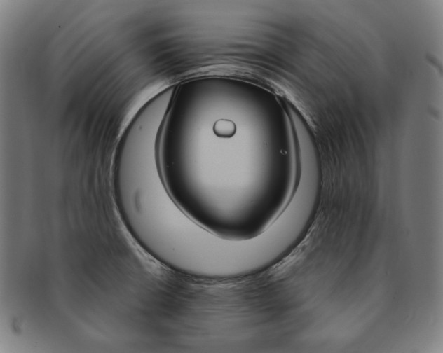 X0000090951426200708301129