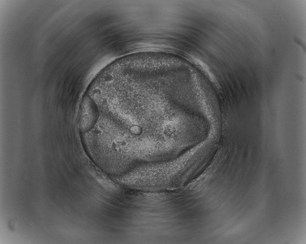 X0000090951427200708301129