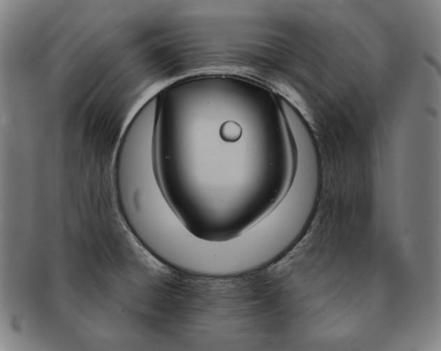 X0000090951428200708301129
