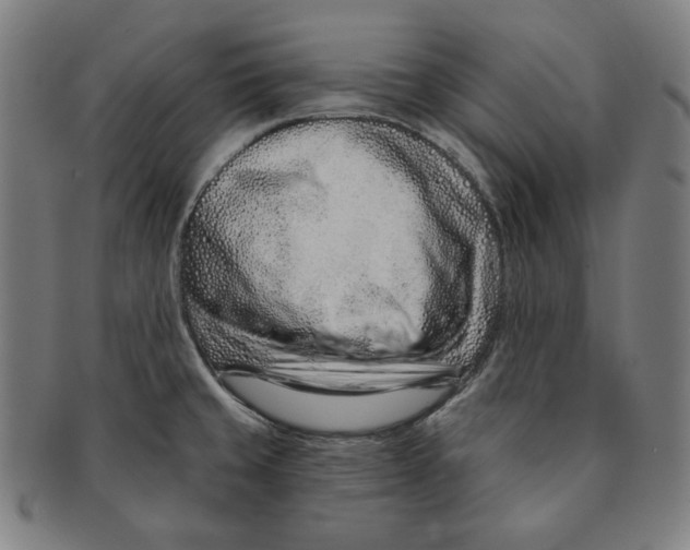 X0000090951429200708301129