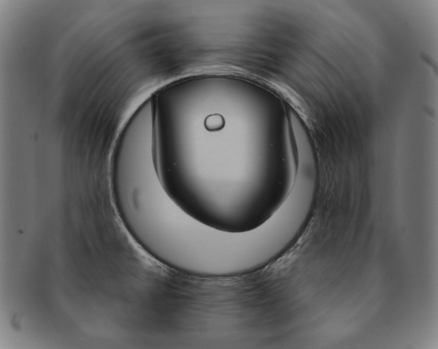 X0000090951430200708301129