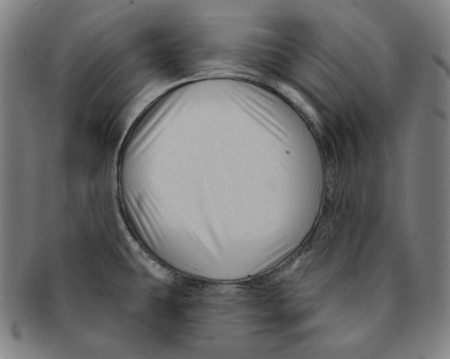 X0000090951431200708301129