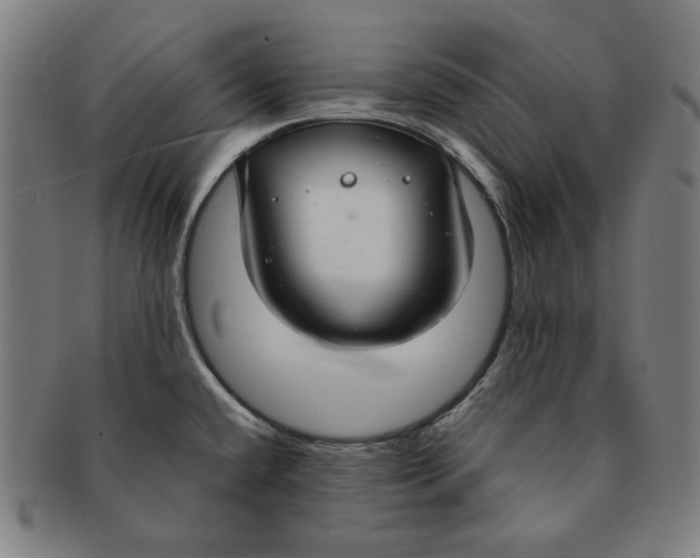 X0000090951432200708301129