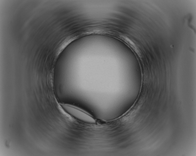 X0000090951433200708301129