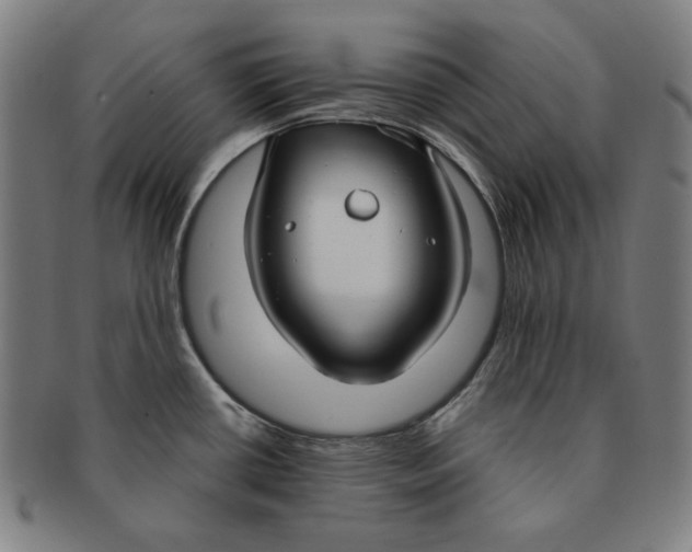X0000090951434200708301129