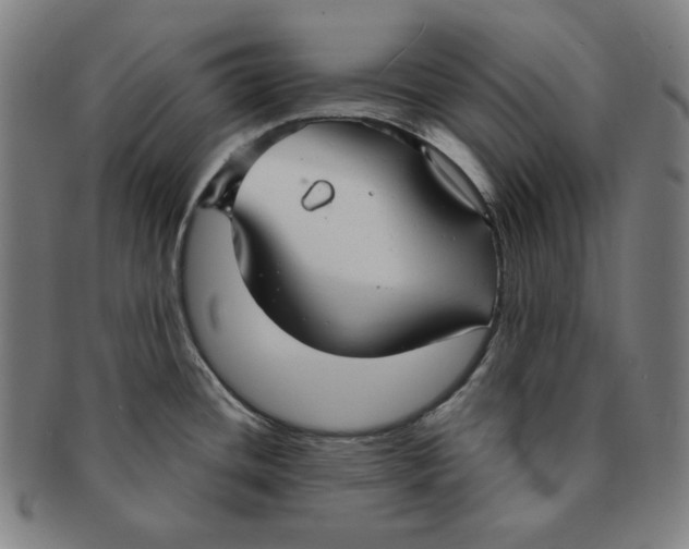 X0000090951436200708301129