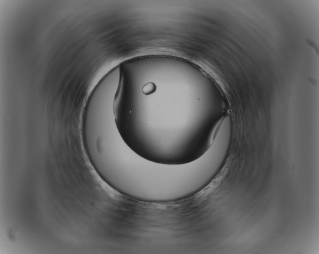 X0000090951438200708301129