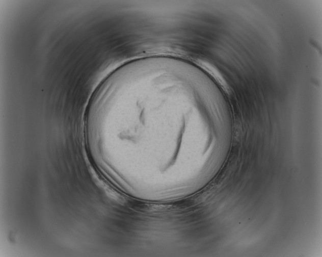 X0000090951439200708301129