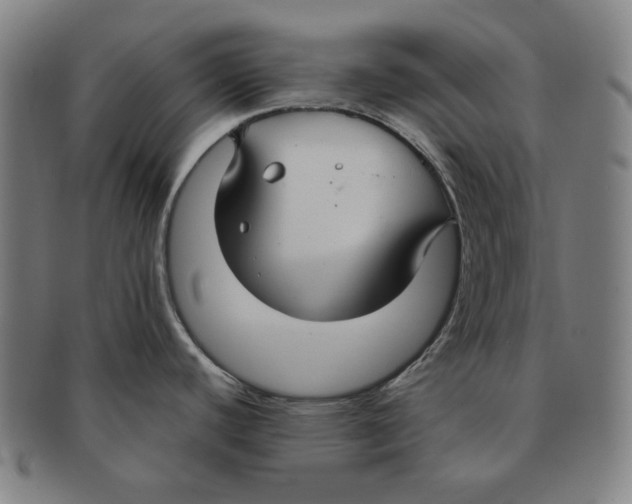 X0000090951440200708301130