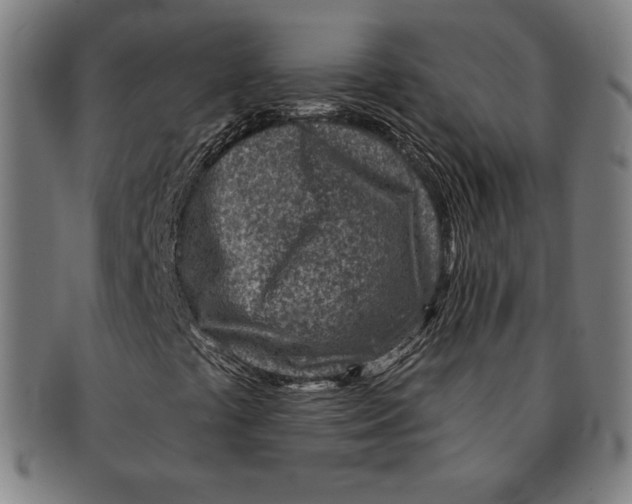 X0000090951441200708301129