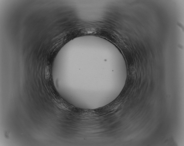 X0000090951442200708301129