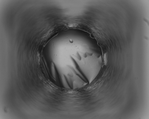 X0000090951443200708301129