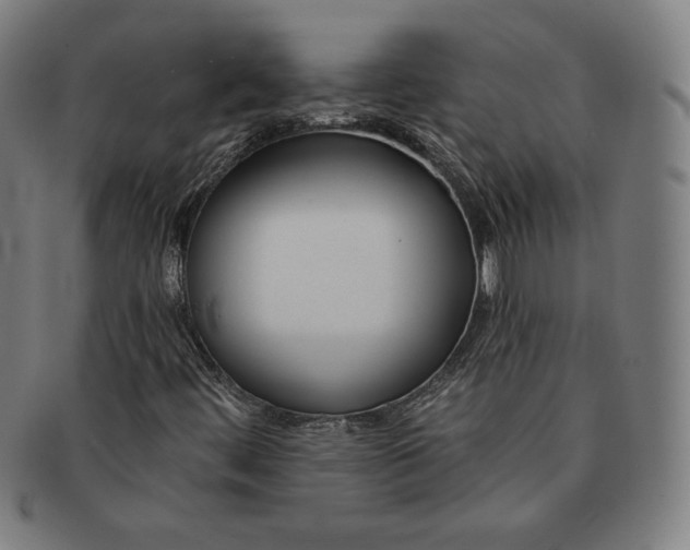 X0000090951444200708301129