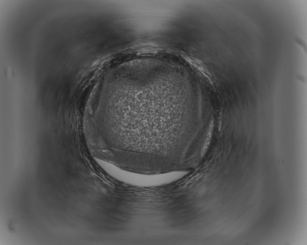 X0000090951445200708301129