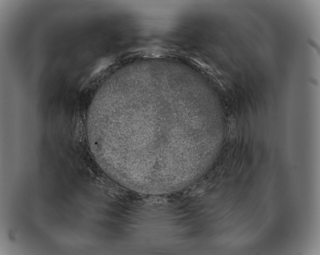 X0000090951446200708301129