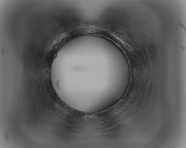 X0000090951447200708301129