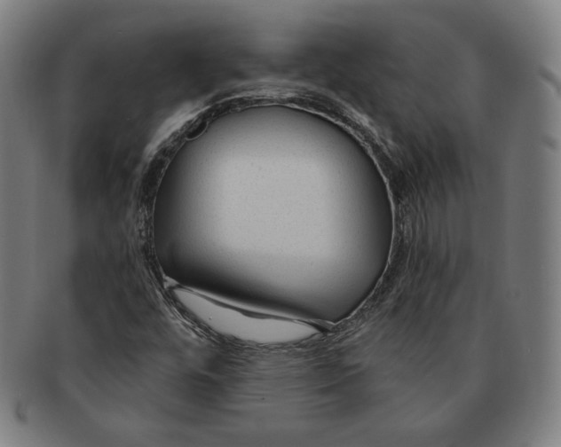 X0000090951448200708301129