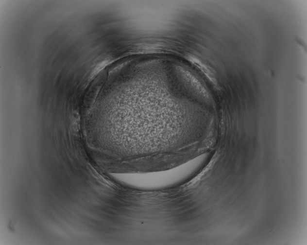 X0000090951449200708301129