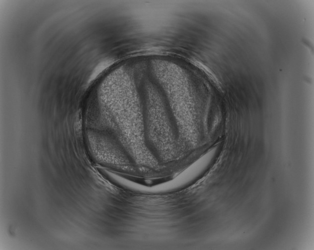 X0000090951450200708301129