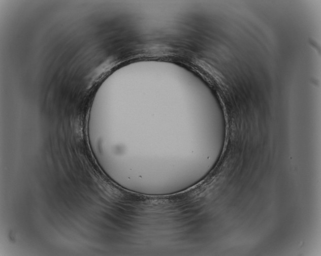 X0000090951451200708301129