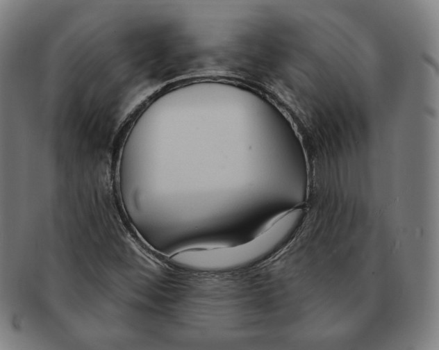 X0000090951452200708301129