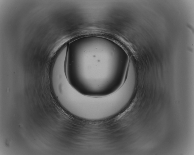X0000090951453200708301129
