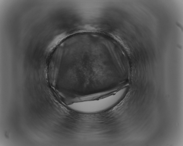 X0000090951455200708301129