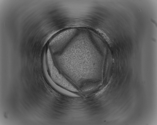 X0000090951457200708301129