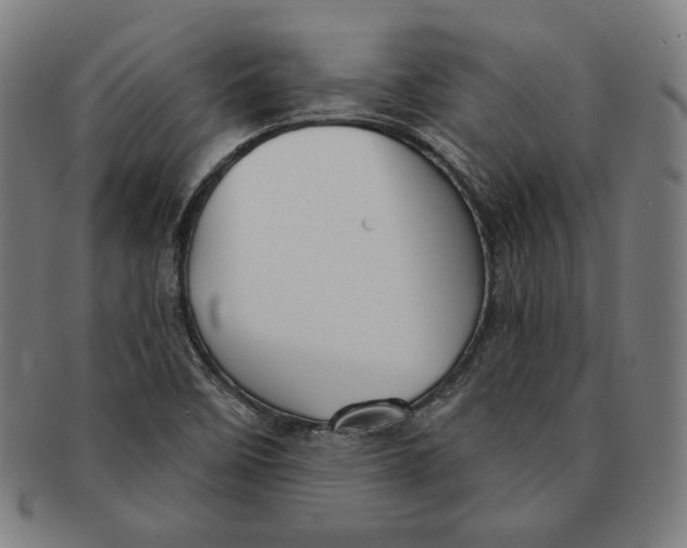X0000090951458200708301129