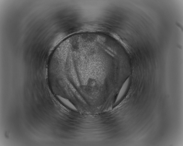 X0000090951459200708301129