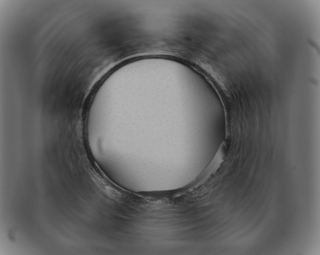 X0000090951460200708301129