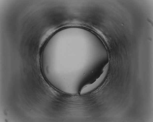 X0000090951464200708301129