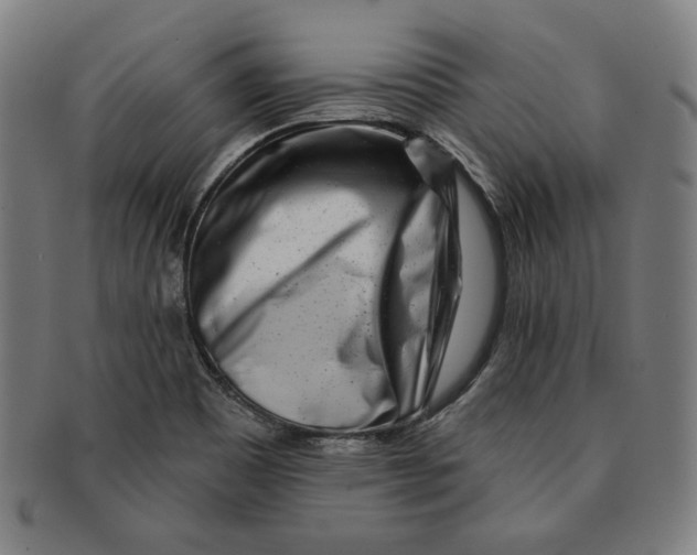 X0000090951465200708301129