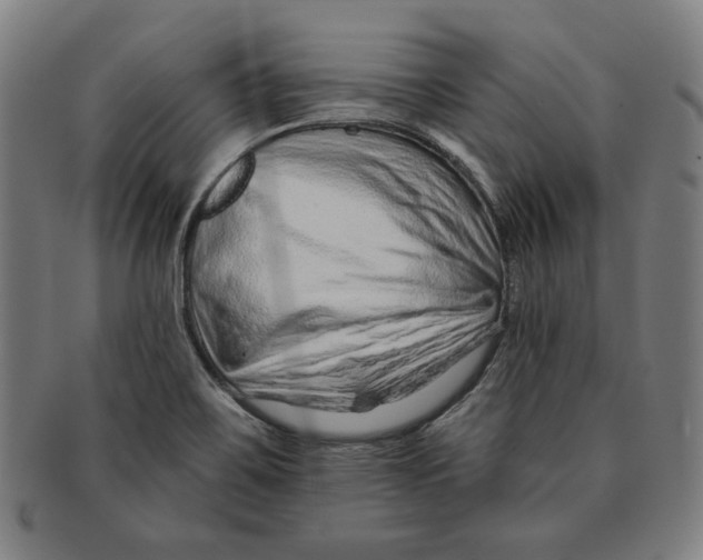 X0000090951467200708301128