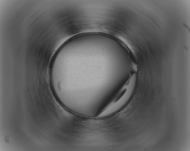 X0000090951468200708301128