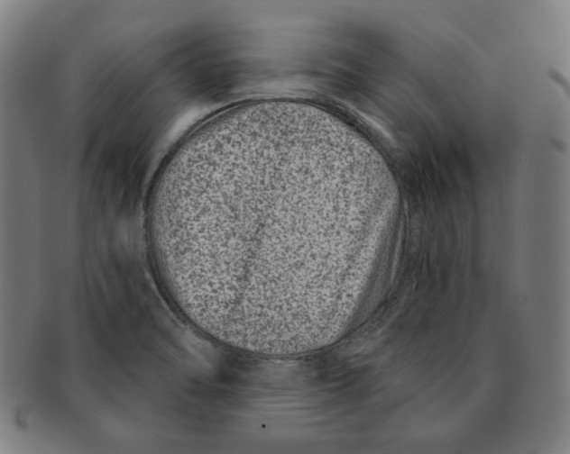 X0000090951470200708301128