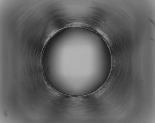X0000090951473200708301128