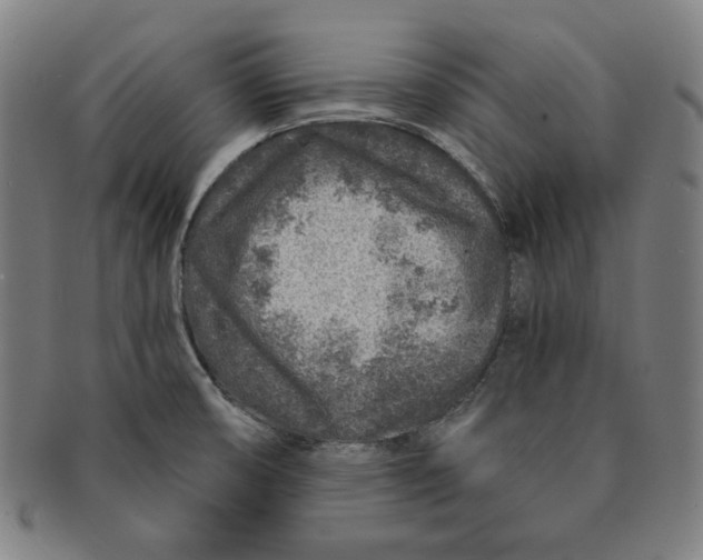 X0000090951474200708301128