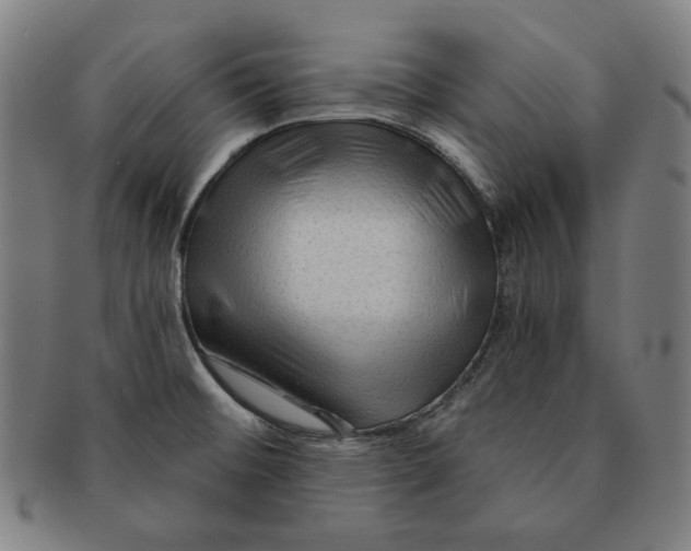 X0000090951476200708301128